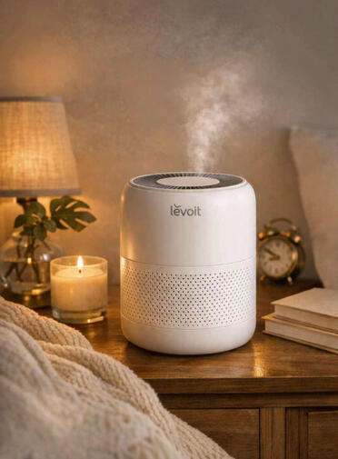 Compact Air Purifier